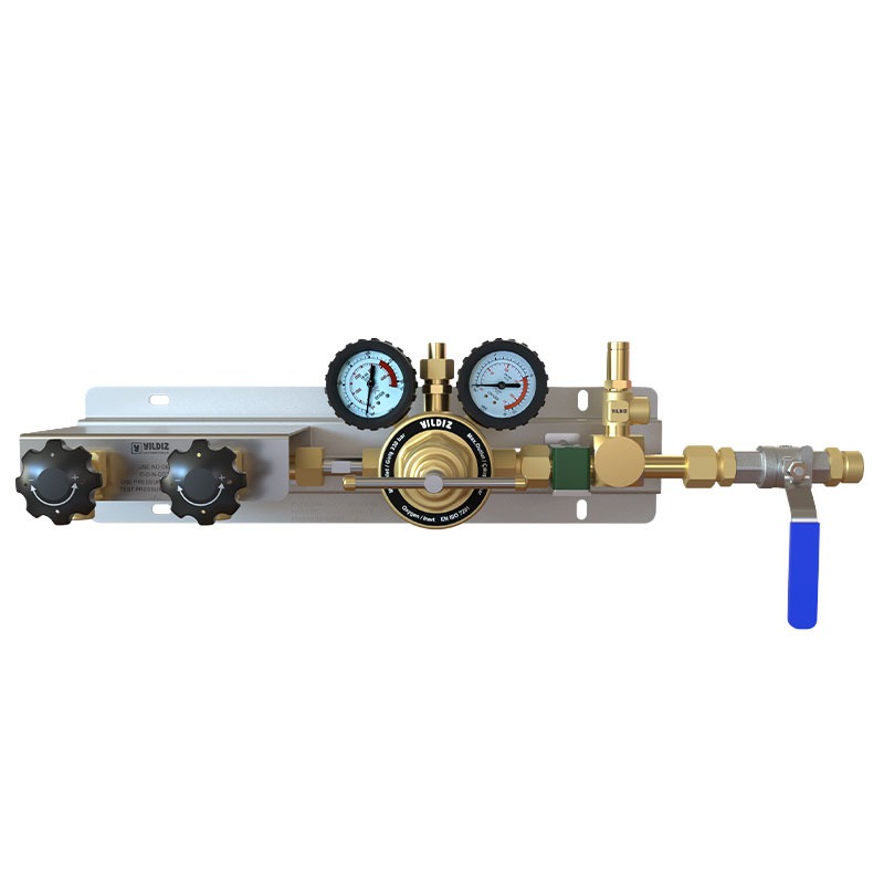 Orta Ölçekli Asal Gaz Manifold Sistem - 10 Bar