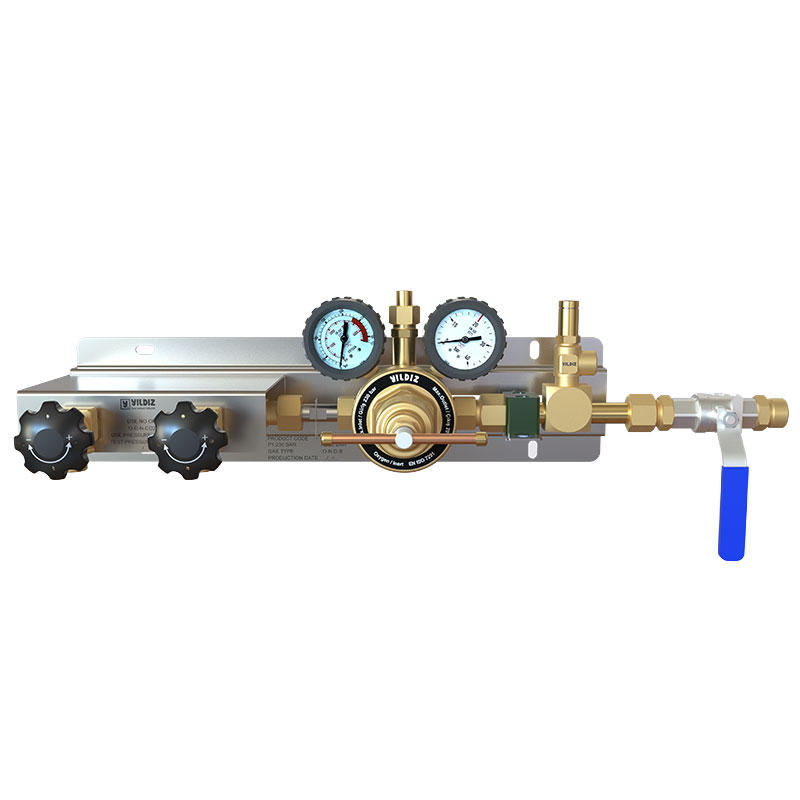 Orta Ölçekli Asal Gaz Manifold Sistem - 20 Bar